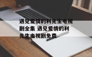 遇见爱情的利先生电视剧全集 遇见爱情的利先生电视剧免费