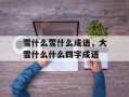 雪什么雪什么成语，大雪什么什么四字成语