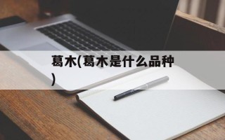 葛木(葛木是什么品种)