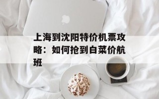 上海到沈阳特价机票攻略：如何抢到白菜价航班