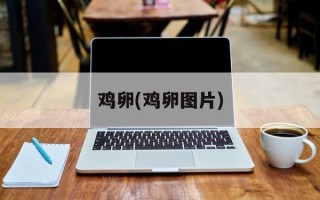 鸡卵(鸡卵图片)