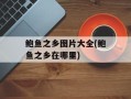 鲍鱼之乡图片大全(鲍鱼之乡在哪里)