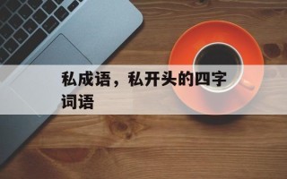 私成语，私开头的四字词语