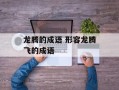 龙腾的成语 形容龙腾飞的成语