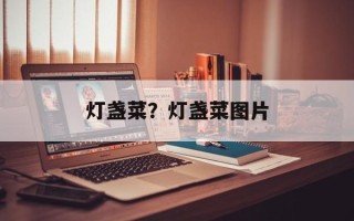 灯盏菜？灯盏菜图片