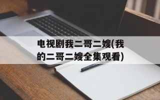 电视剧我二哥二嫂(我的二哥二嫂全集观看)