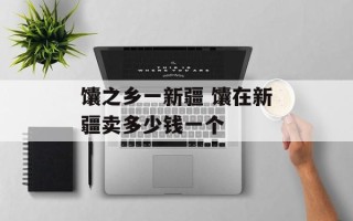馕之乡一新疆 馕在新疆卖多少钱一个