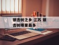 银杏树之乡 江苏 银杏树哪里最多
