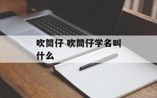 吹筒仔 吹筒仔学名叫什么