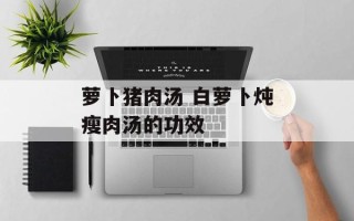 萝卜猪肉汤 白萝卜炖瘦肉汤的功效
