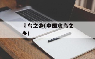 鹮鸟之乡(中国水鸟之乡)