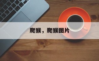 爬猴，爬猴图片
