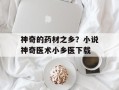 神奇的药材之乡？小说神奇医术小乡医下载
