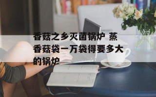 香菇之乡灭菌锅炉 蒸香菇袋一万袋得要多大的锅炉