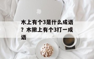 木上有个3是什么成语？木撇上有个3打一成语