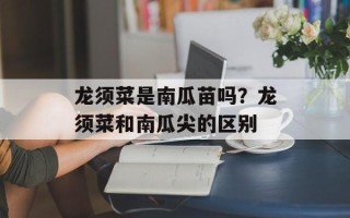 龙须菜是南瓜苗吗？龙须菜和南瓜尖的区别