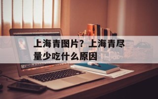 上海青图片？上海青尽量少吃什么原因