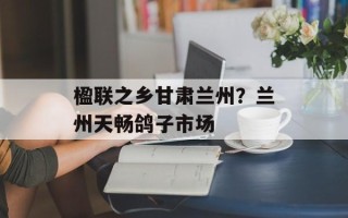 楹联之乡甘肃兰州？兰州天畅鸽子市场
