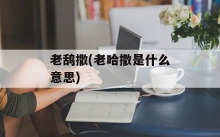 老鸹撒(老哈撒是什么意思)