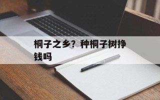 桐子之乡？种桐子树挣钱吗