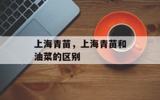 上海青苗，上海青苗和油菜的区别