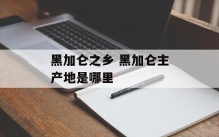 黑加仑之乡 黑加仑主产地是哪里