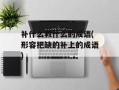 补什么救什么的成语(形容把缺的补上的成语)
