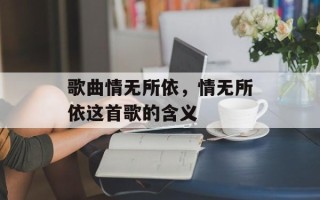 歌曲情无所依，情无所依这首歌的含义