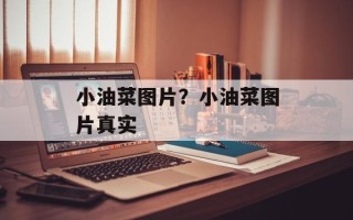 小油菜图片？小油菜图片真实