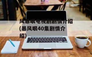 风暴眼电视剧剧情介绍(暴风眼40集剧情介绍)