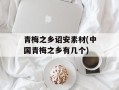 青梅之乡诏安素材(中国青梅之乡有几个)