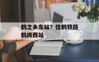 鹤之乡东站？佳鹤铁路鹤岗西站