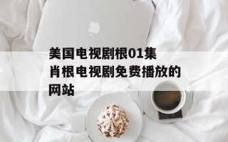美国电视剧根01集 肖根电视剧免费播放的网站