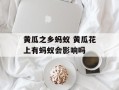 黄瓜之乡蚂蚁 黄瓜花上有蚂蚁会影响吗