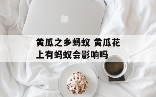 黄瓜之乡蚂蚁 黄瓜花上有蚂蚁会影响吗