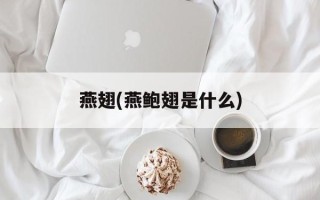 燕翅(燕鲍翅是什么)