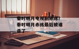 秦时明月电视剧赤练？秦时明月赤练最后被谁杀了