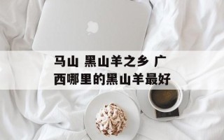 马山 黑山羊之乡 广西哪里的黑山羊最好