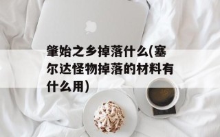 肇始之乡掉落什么(塞尔达怪物掉落的材料有什么用)