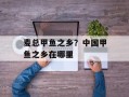 麦总甲鱼之乡？中国甲鱼之乡在哪里