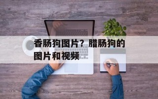 香肠狗图片？腊肠狗的图片和视频
