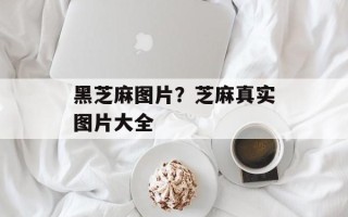 黑芝麻图片？芝麻真实图片大全