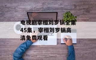 电视剧宰相刘罗锅全集45集，宰相刘罗锅高清免费观看