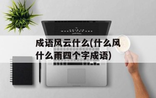 成语风云什么(什么风什么雨四个字成语)