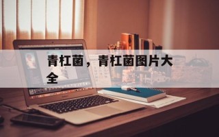 青杠菌，青杠菌图片大全