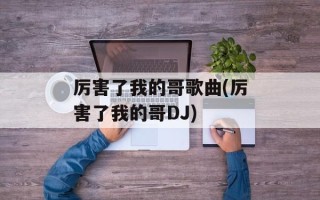 厉害了我的哥歌曲(厉害了我的哥DJ)