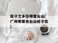 粽子之乡在哪里台山(广州哪里有台山粽子卖)