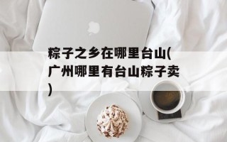 粽子之乡在哪里台山(广州哪里有台山粽子卖)