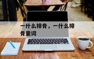 一什么排骨，一什么排骨量词