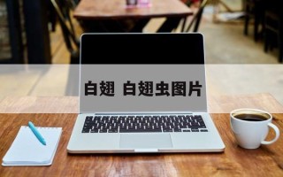 白翅 白翅虫图片